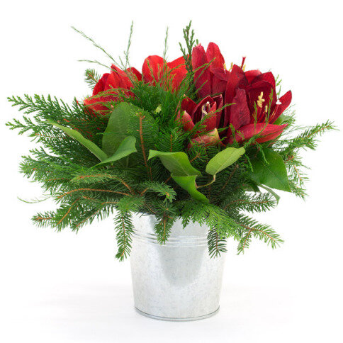 Blumenstrauß 'Fröhliche Weihnachten' - ARCHIVE