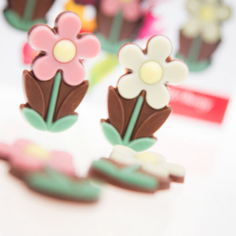 3 Little Daisy - 3 Blumen aus Schokolade