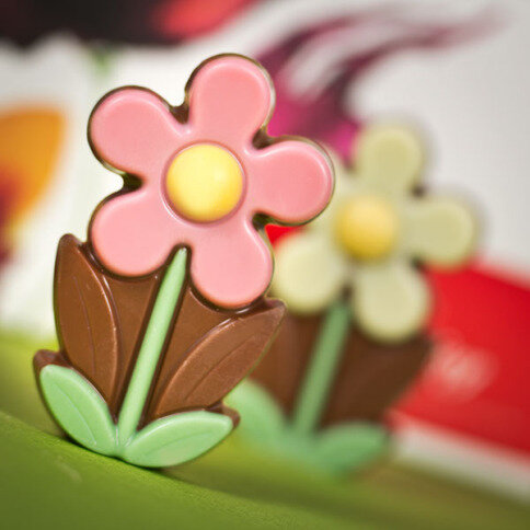 Little Daisy - 9 Blumen aus Schokolade