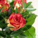 Blumenstrauß - 3 Teerosen