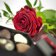 Rose & ChocoHeart