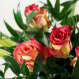 Blumenstrauß - 5 Teerosen