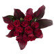 Rote Rosen & Elegance