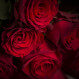 Rote Rosen & Elegance