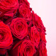 Rote Rosen und Elegance