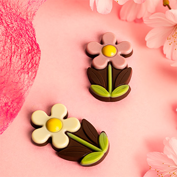 G&auml;nsebl&uuml;mchen aus belgischer Schokolade