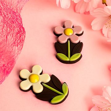 dessert schokolade gänseblümchen in der hand präsentiert
