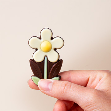 dessert schokolade gänseblümchen in der hand präsentiert