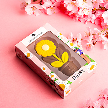 Gelbes G&auml;nsebl&uuml;mchen aus belgischer Schokolade als Geschenk