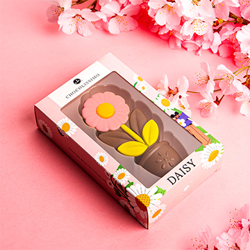 Rosa Gänseblümchen aus belgischer Schokolade als Geschenk