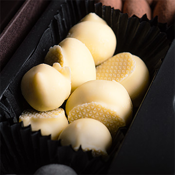 Rosinen in belgischer Schokolade