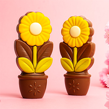 Gelbes G&auml;nsebl&uuml;mchen aus belgischer Schokolade
