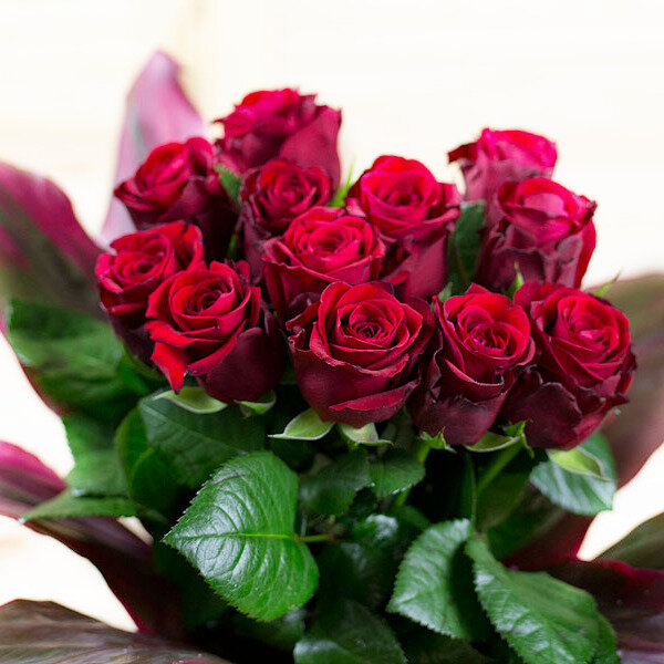Rpte Rosen Rpte Rosen