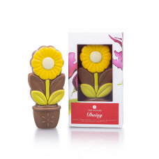 ChocoDaisy - Gelb - Blume aus Schokolade
