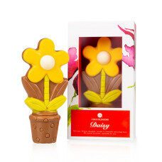 ChocoDaisy - Gelb - Blume aus Schokolade