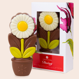 blumen aus schokolade