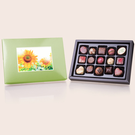 ChocoPostcard Midi - Grün