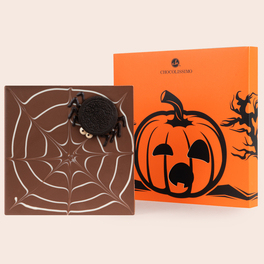 ChocoQuadrat 'Spinnennetz' mit 'Keks-Spinne'