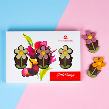 Schokoladen-Gänseblümchen in einer dekorativen Verpackung