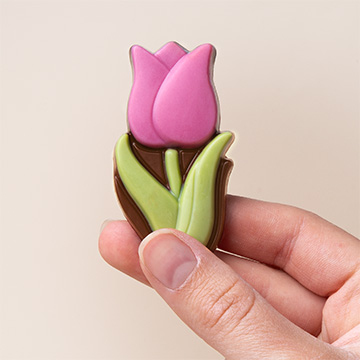 Schokoladentulpe in der Hand